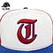 Snapbacks hat